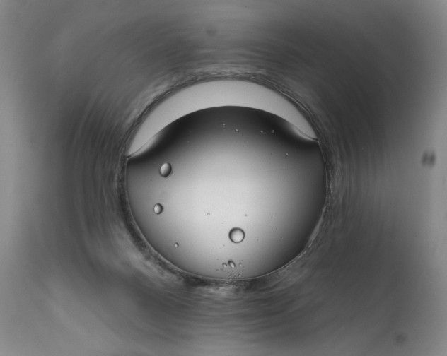 X0000111670120200908071507