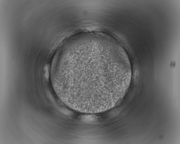 X0000111670121200908071507