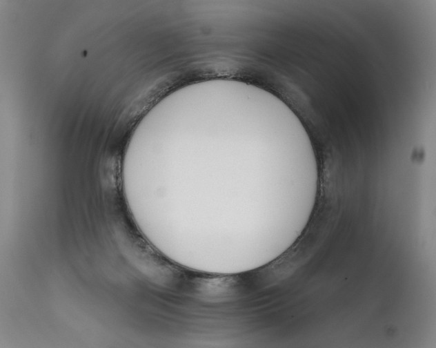 X0000111670122200908071506