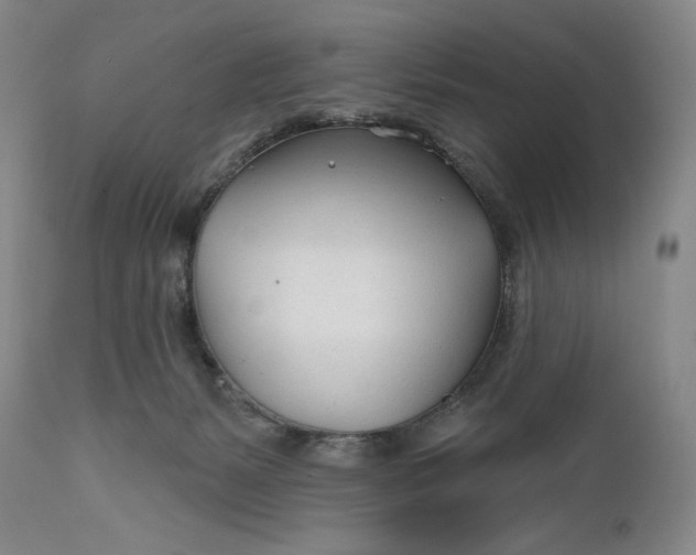 X0000111670127200908071506