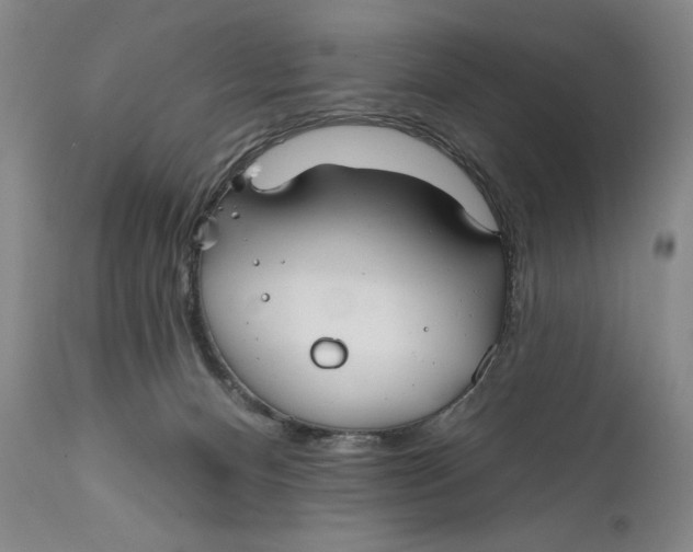 X0000111670128200908071506