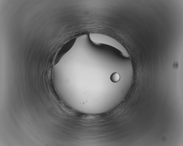 X0000111670129200908071506