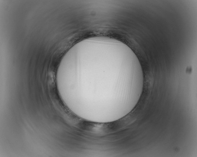 X0000111670130200908071506