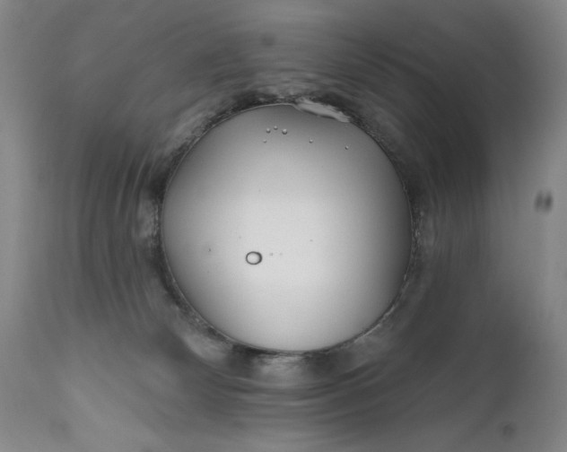 X0000111670132200908071506