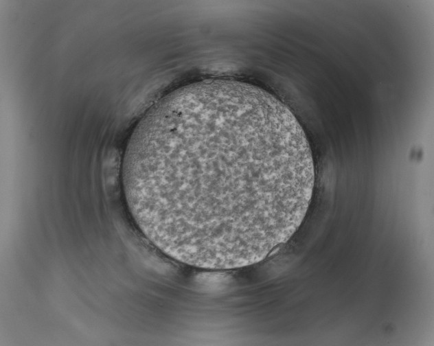 X0000111670133200908071506