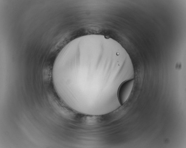 X0000111670134200908071506