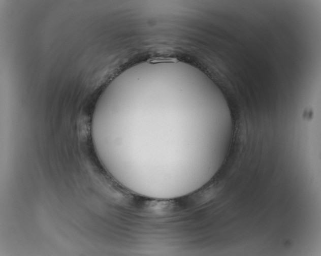 X0000111670135200908071506