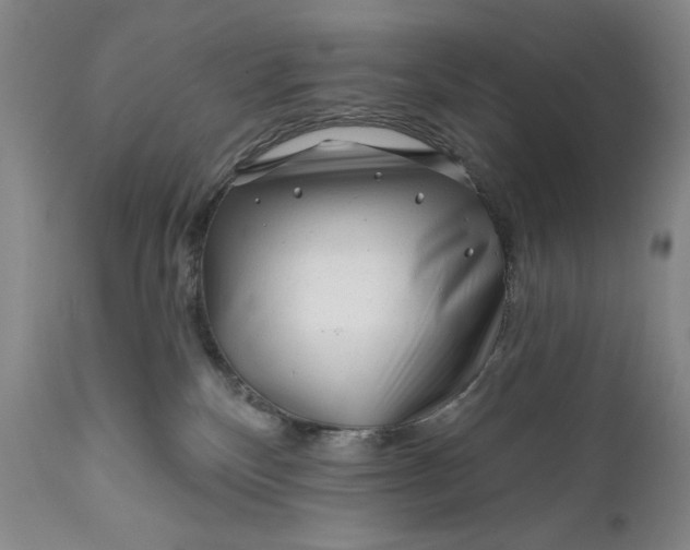 X0000111670136200908071506