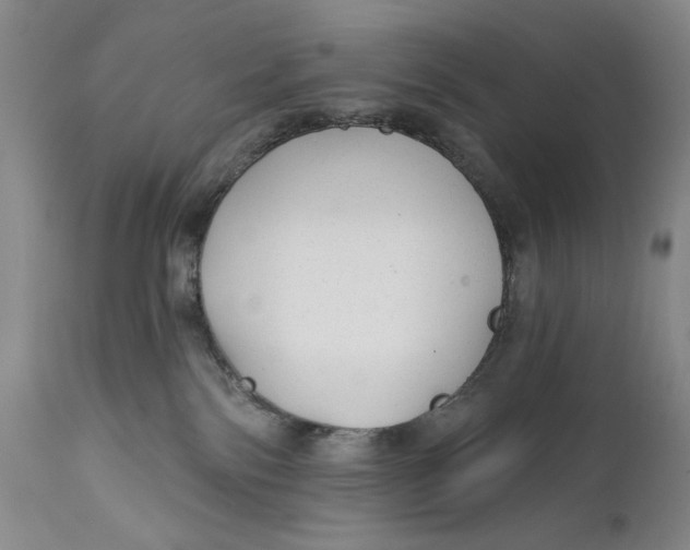 X0000111670138200908071506