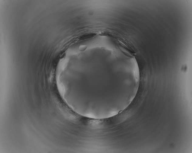 X0000111670139200908071506