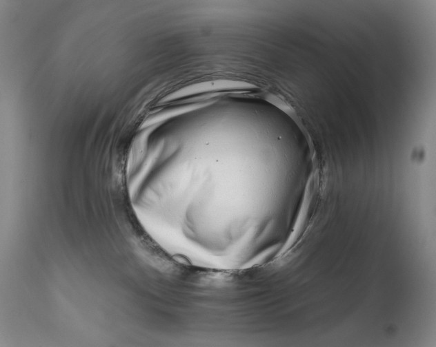 X0000111670140200908071506