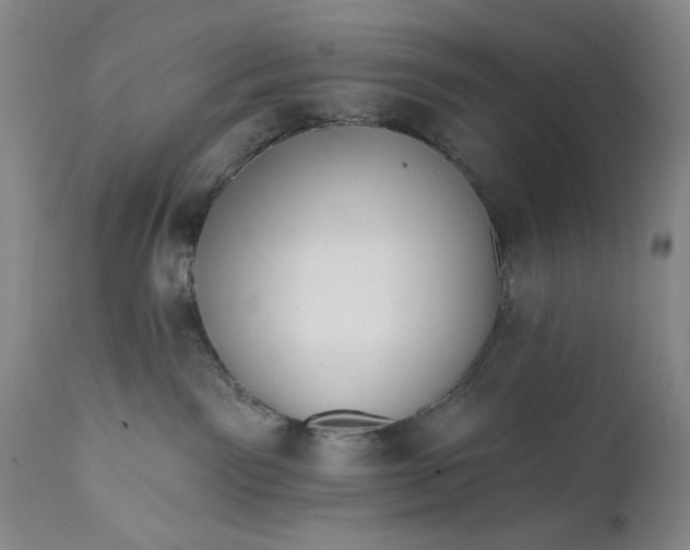 X0000111670141200908071506