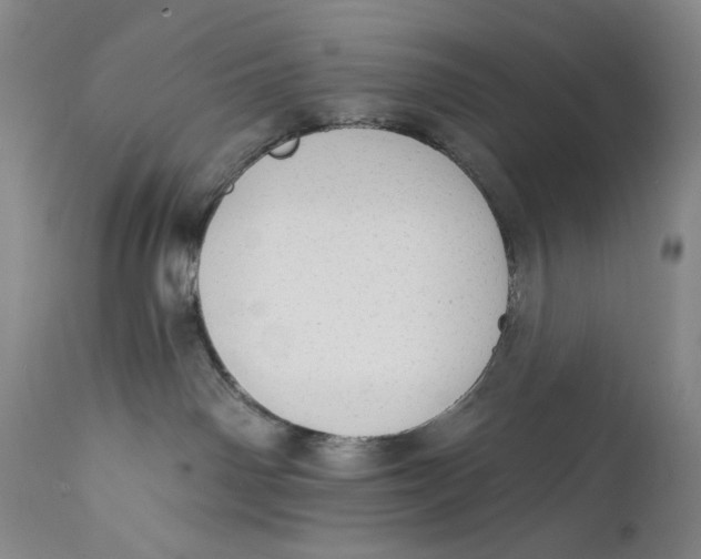 X0000111670142200908071506