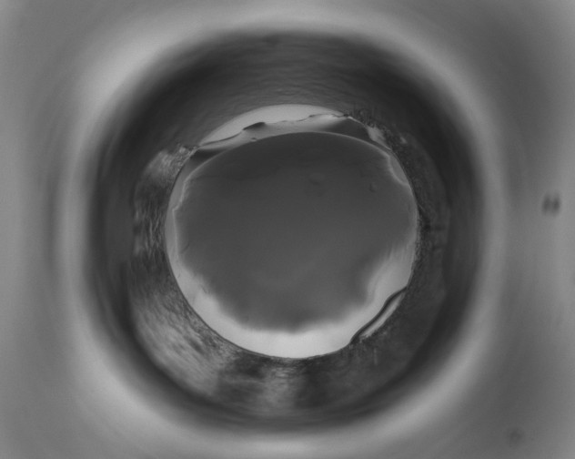 X0000111670143200908071506