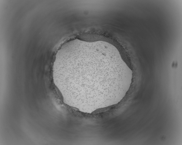 X0000111670144200908071506