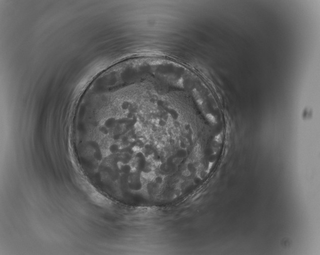 X0000111670145200908071505