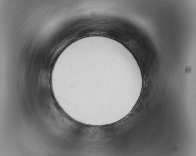 X0000111670146200908071505