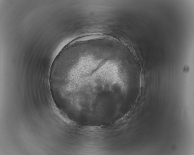 X0000111670147200908071505