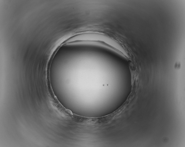 X0000111670148200908071505