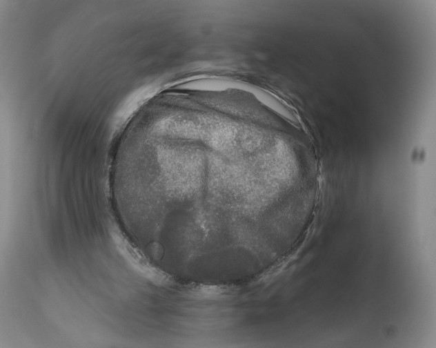 X0000111670149200908071505