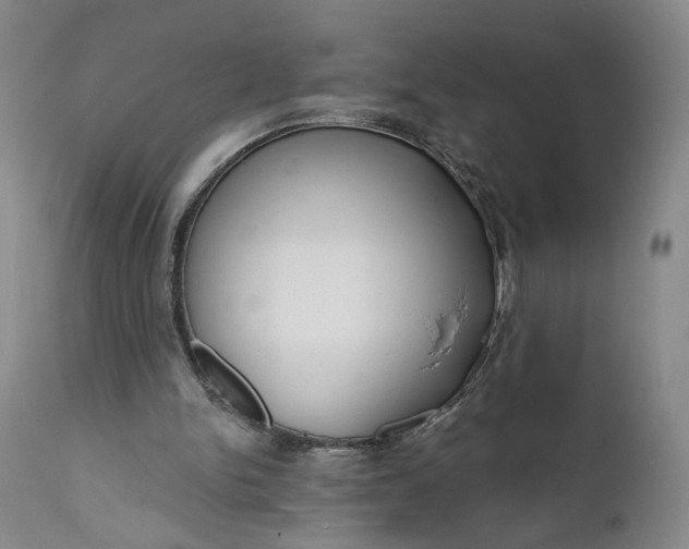 X0000111670150200908071505