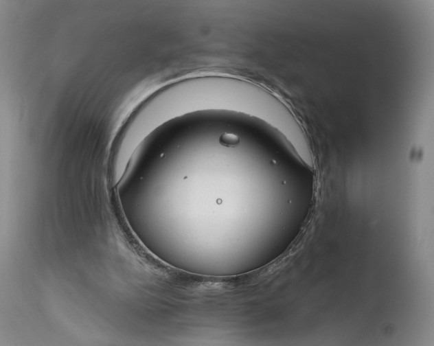 X0000111670152200908071505