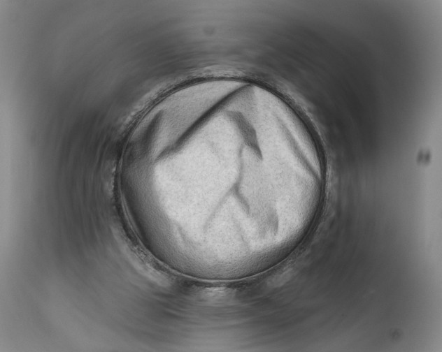 X0000111670153200908071505