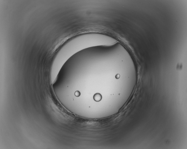 X0000111670154200908071505