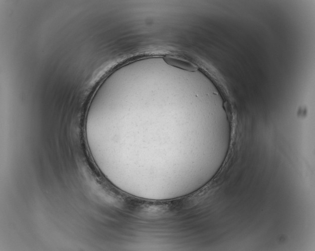 X0000111670155200908071505