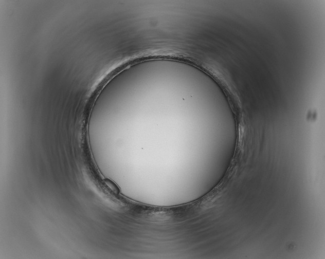 X0000111670156200908071506