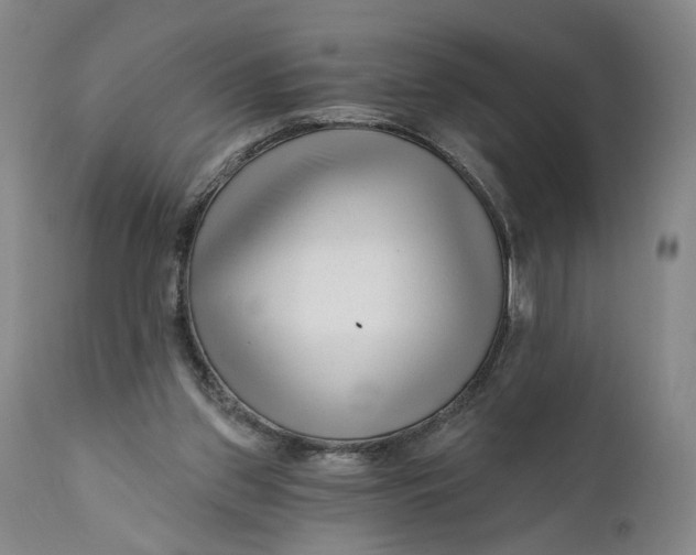 X0000111670157200908071506