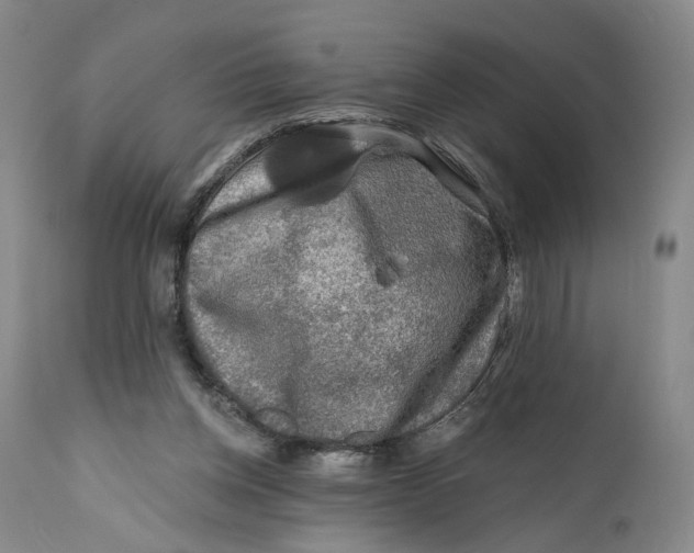 X0000111670158200908071506