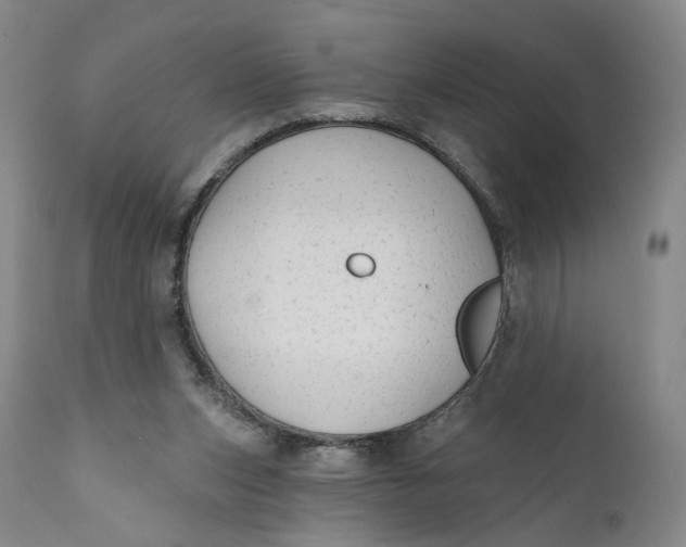 X0000111670159200908071506