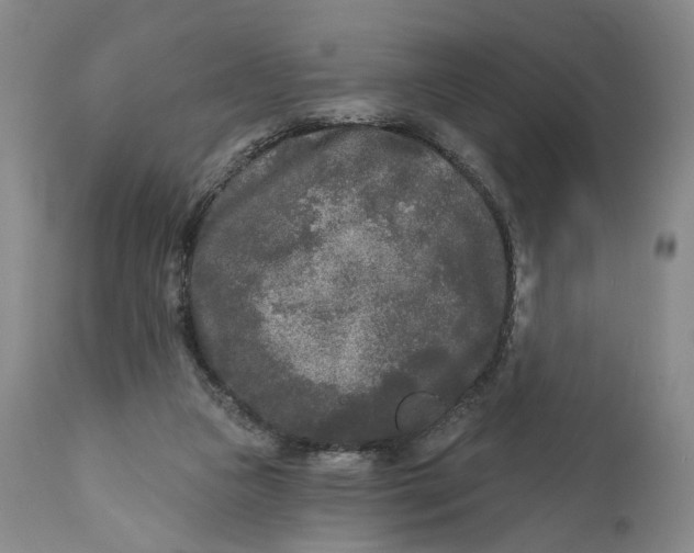 X0000111670161200908071506