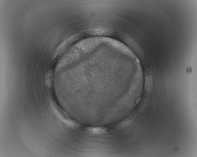 X0000111670165200908071506