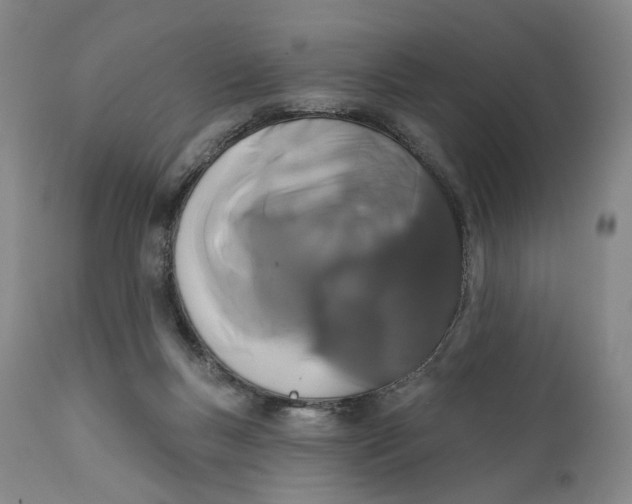 X0000111670167200908071506