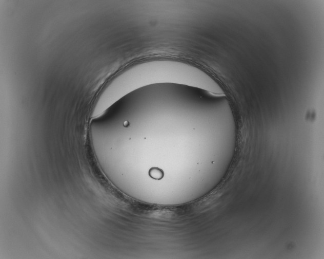 X0000111670168200908071506