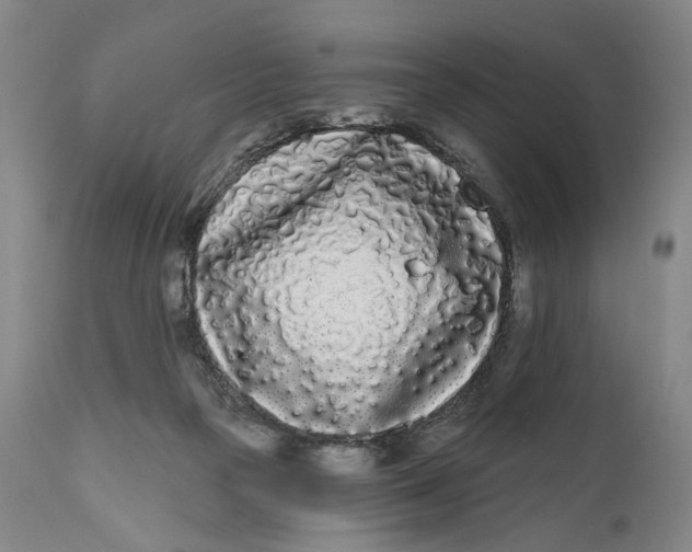 X0000111670169200908071506