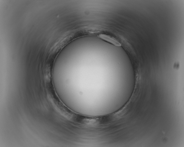 X0000111670170200908071506