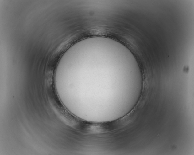 X0000111670171200908071506