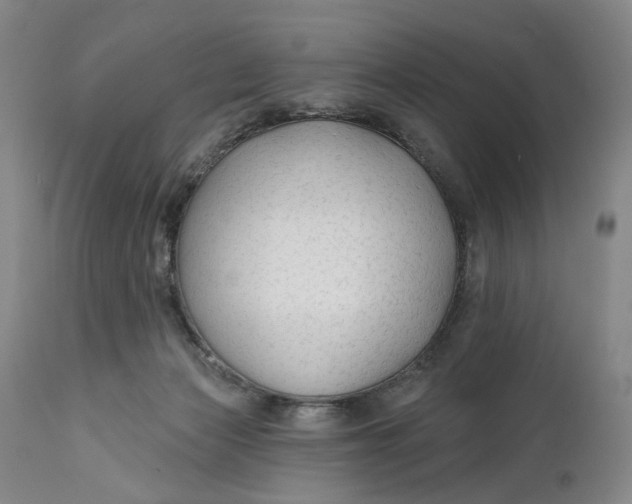 X0000111670173200908071506