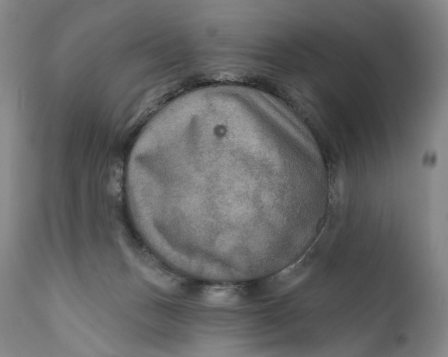 X0000111670175200908071506