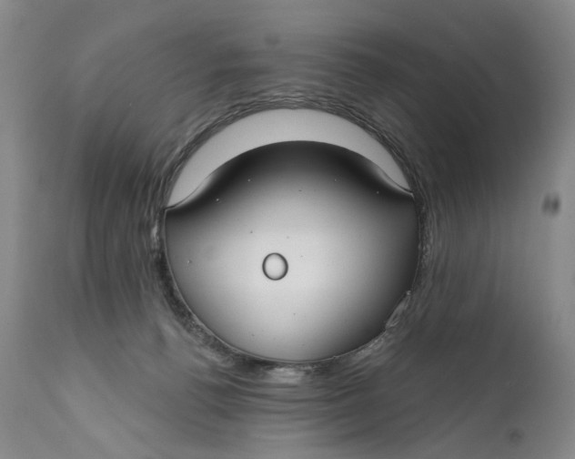 X0000111670176200908071506