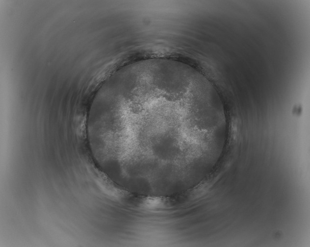 X0000111670177200908071506