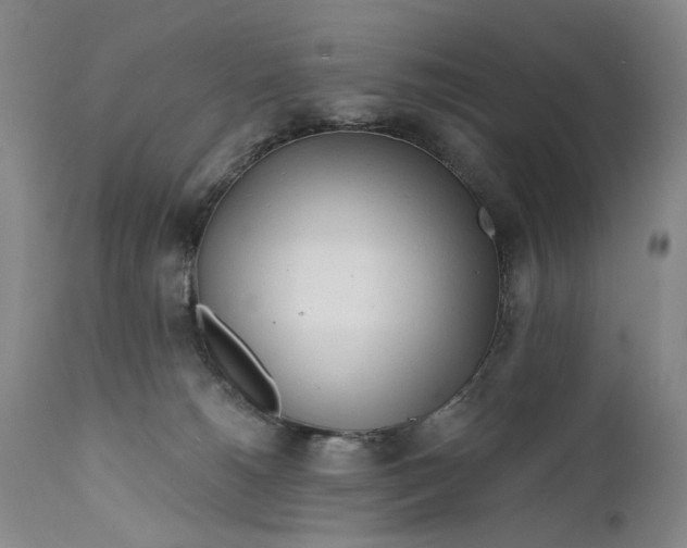 X0000111670180200908071506