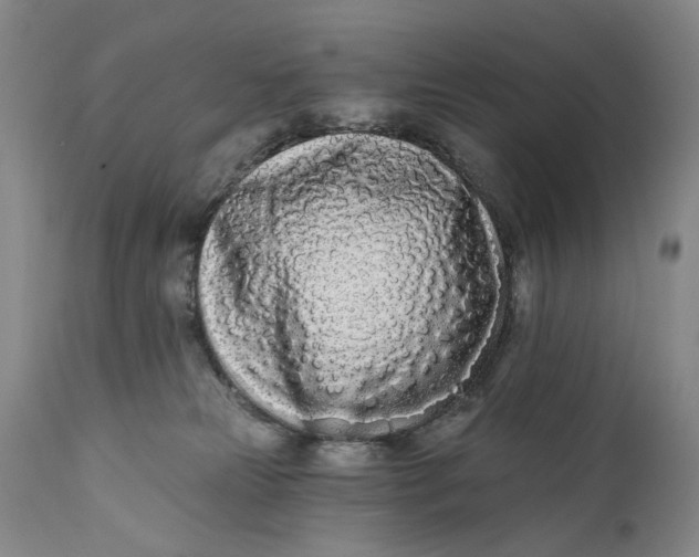 X0000111670181200908071506