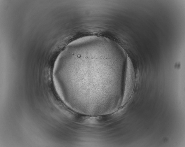 X0000111670182200908071506