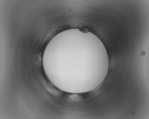 X0000111670183200908071506