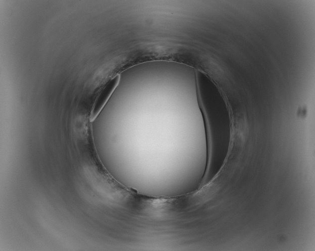 X0000111670184200908071506