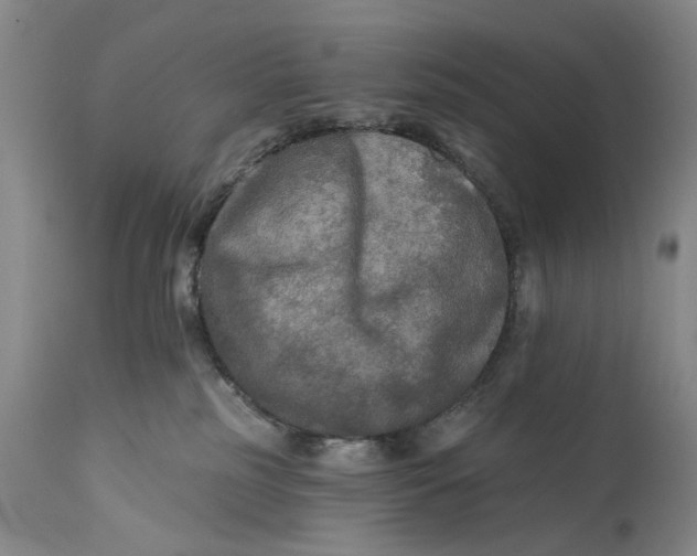 X0000111670185200908071506